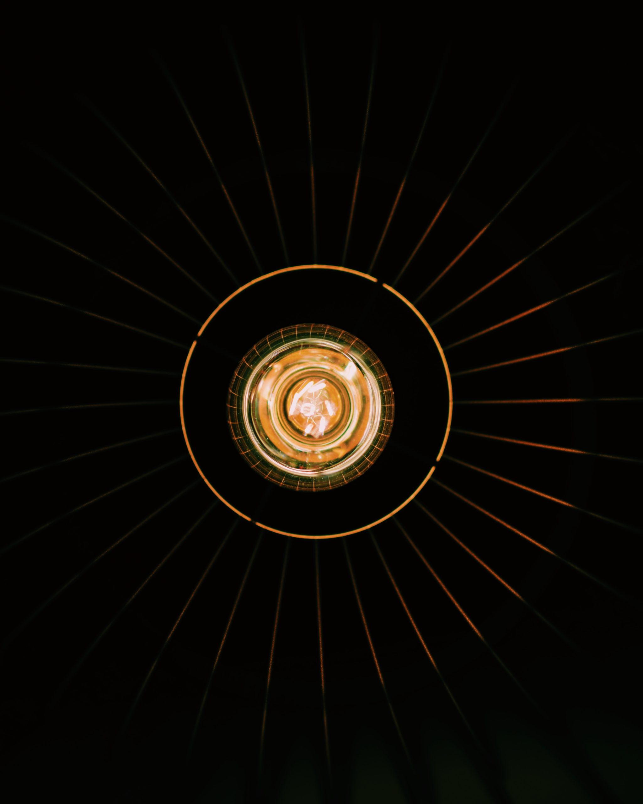stefan-cosma-GVlcXhQejA8-unsplash